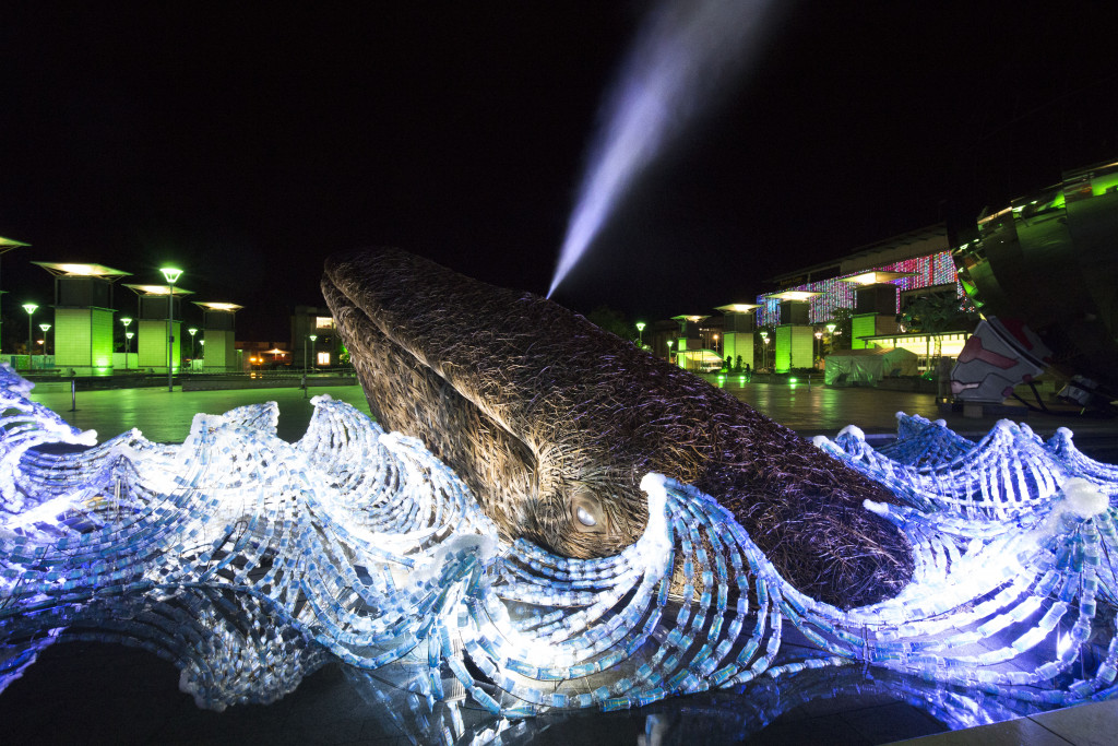 Bristol Whales